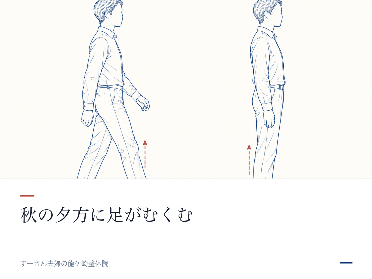 記事の要点